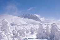 한라산의 겨울